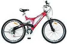 bike picture