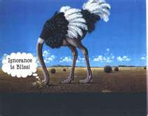 ostrich ignorance resized 600