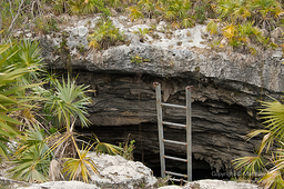 ladder out of a hole