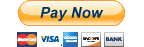 pay now through paypal